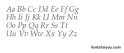 PalatinoCeItalic フォントのレビュー