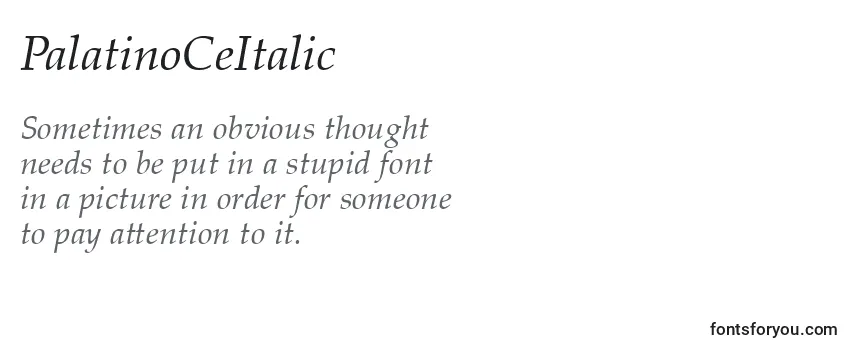 Review of the PalatinoCeItalic Font