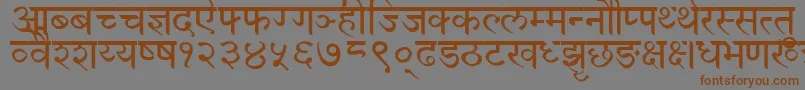 フォントDevanagariNormal – 茶色の文字が灰色の背景にあります。