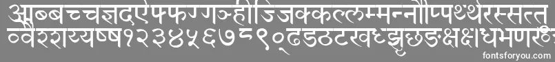 フォントDevanagariNormal – 灰色の背景に白い文字