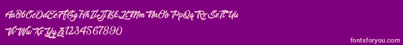 EnlightenYourDestiny Font – Pink Fonts on Purple Background