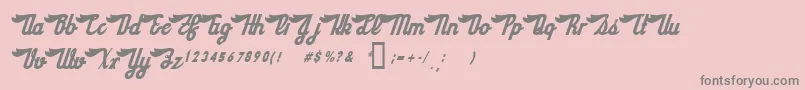 フォントSloeGinRickey – ピンクの背景に灰色の文字