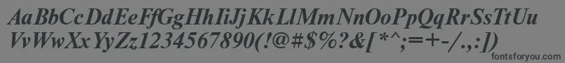 NewtondoscttBolditalic-Schriftart – Schwarze Schriften auf grauem Hintergrund