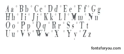 Обзор шрифта Tidelag