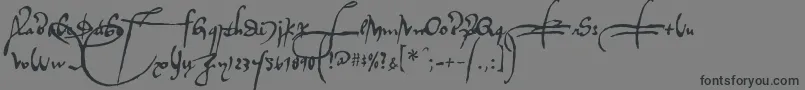 Шрифт Regalloaplaya – чёрные шрифты на сером фоне