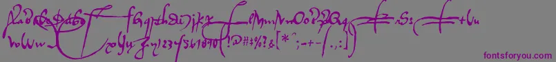 Шрифт Regalloaplaya – фиолетовые шрифты на сером фоне