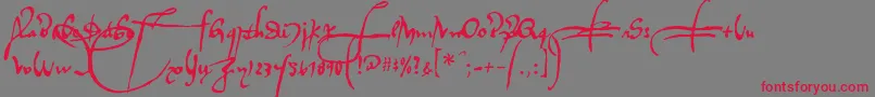フォントRegalloaplaya – 赤い文字の灰色の背景