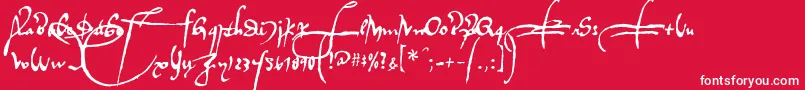 Regalloaplaya Font – White Fonts on Red Background
