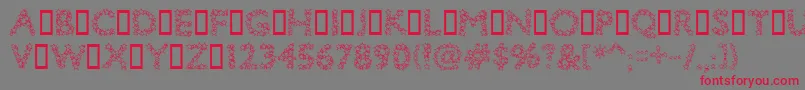 Bingo Font – Red Fonts on Gray Background