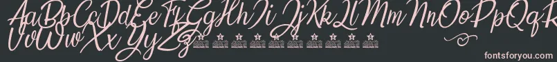 SunflowersTwoPersonalUse Font – Pink Fonts on Black Background