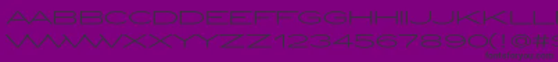 ZeppelinLightOt Font – Black Fonts on Purple Background