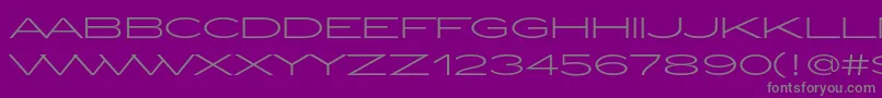 ZeppelinLightOt Font – Gray Fonts on Purple Background