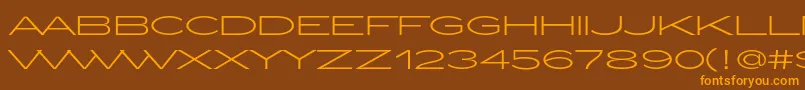 ZeppelinLightOt Font – Orange Fonts on Brown Background