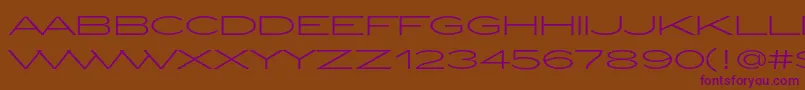 ZeppelinLightOt Font – Purple Fonts on Brown Background