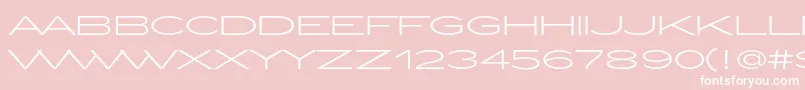 ZeppelinLightOt Font – White Fonts on Pink Background