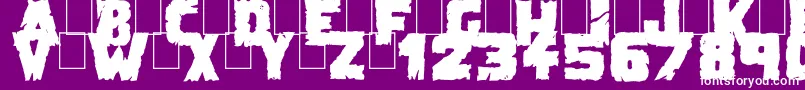 DemolitionCrackBlack Font – White Fonts on Purple Background