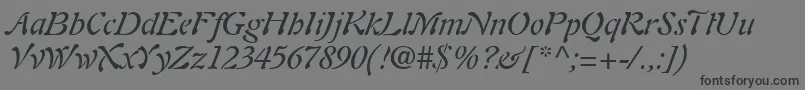 Шрифт PaletteSsiItalic – чёрные шрифты на сером фоне