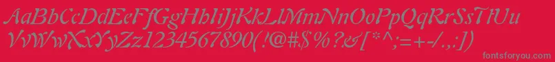 PaletteSsiItalic Font – Gray Fonts on Red Background