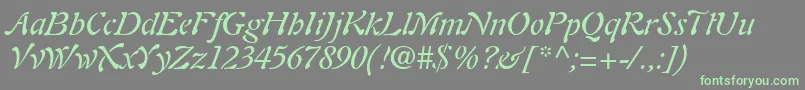 Шрифт PaletteSsiItalic – зелёные шрифты на сером фоне