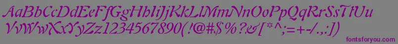 PaletteSsiItalic Font – Purple Fonts on Gray Background