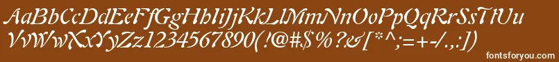 Шрифт PaletteSsiItalic – белые шрифты на коричневом фоне