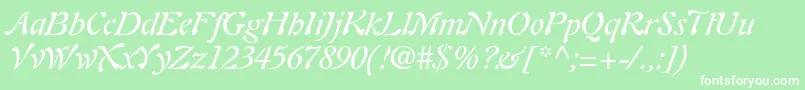 Шрифт PaletteSsiItalic – белые шрифты на зелёном фоне