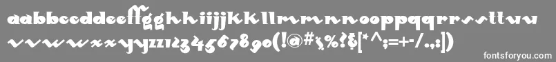 Mondo ffy Font – White Fonts on Gray Background