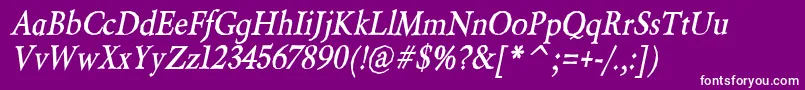 BeryliumBoldItalic Font – White Fonts on Purple Background