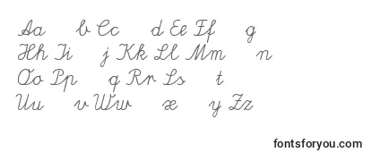 Обзор шрифта Lateinaus