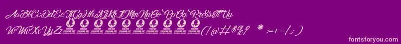 MelancholightItalic Font – Pink Fonts on Purple Background