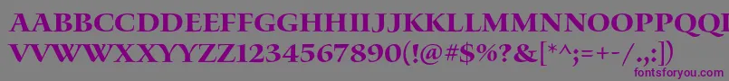 WaterstitlingproBd Font – Purple Fonts on Gray Background