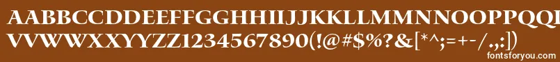 WaterstitlingproBd Font – White Fonts on Brown Background