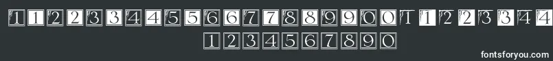Шрифт DeconumbersLhSerlio – белые шрифты на чёрном фоне