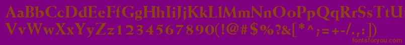 WeissLtExtrabold Font – Brown Fonts on Purple Background