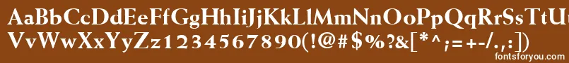 フォントWeissLtExtrabold – 茶色の背景に白い文字