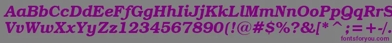 BookmanItcDemiItalicBt Font – Purple Fonts on Gray Background