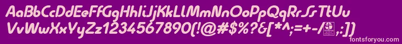 QuesatBlackItalicDemo Font – Pink Fonts on Purple Background