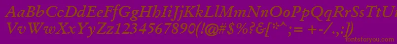 GaramondKursivHalbfett Font – Brown Fonts on Purple Background