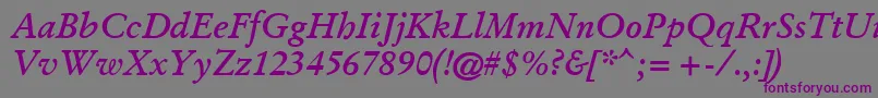フォントGaramondKursivHalbfett – 紫色のフォント、灰色の背景