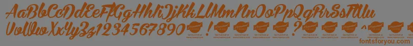 BiraPersonalUseOnly Font – Brown Fonts on Gray Background