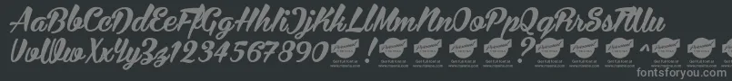 BiraPersonalUseOnly Font – Gray Fonts on Black Background