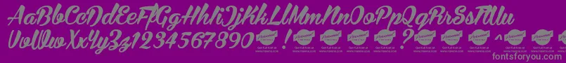 BiraPersonalUseOnly Font – Gray Fonts on Purple Background