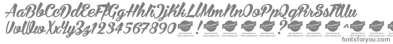BiraPersonalUseOnly Font – Gray Fonts on White Background