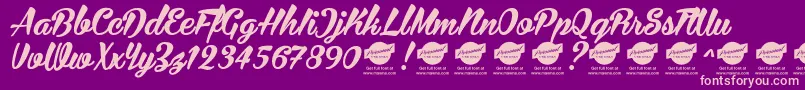 BiraPersonalUseOnly Font – Pink Fonts on Purple Background