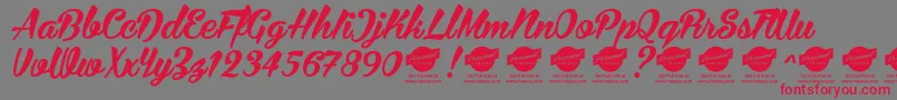 BiraPersonalUseOnly Font – Red Fonts on Gray Background