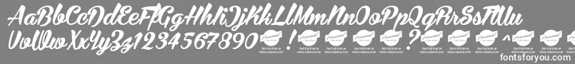 BiraPersonalUseOnly Font – White Fonts on Gray Background