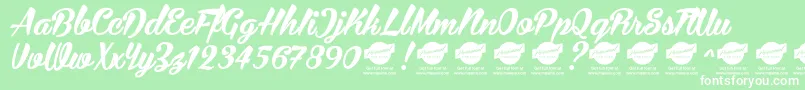 BiraPersonalUseOnly Font – White Fonts on Green Background