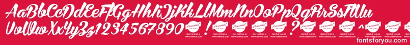 BiraPersonalUseOnly Font – White Fonts on Red Background