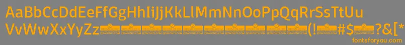 DomotikaRegularTrial Font – Orange Fonts on Gray Background