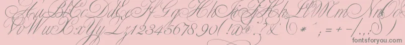 ClassicaTwo Font – Gray Fonts on Pink Background